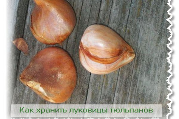 Кракен официальный