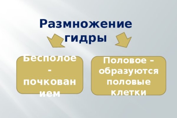 Украли аккаунт на кракене что делать